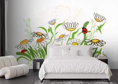 Colorful daisy field in spring time vector illustration Wall mural