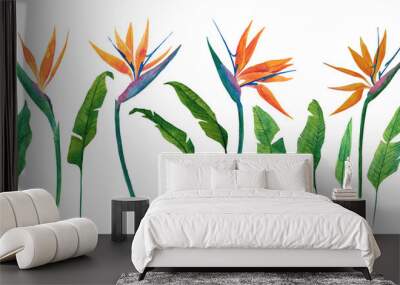 Set of watercolor illustration of herbaceous plant of strelitzia. Hand-drawn illustration of plant of bird-of-paradis. For design and decoration of fabric, textile. Flowers and tropical leaves. Wall mural