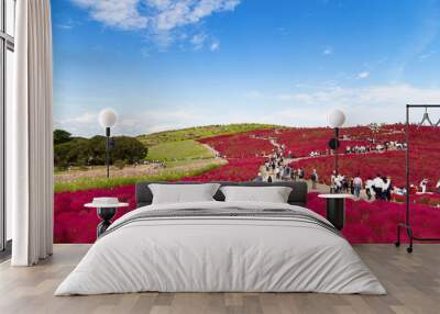  tourists enjoying beautiful view of kochia plant hill in autumn season with blue sky at Hitachi Seaside Park, Ibaraki, Japan. Hitachi Seaside Park is a popular tourist destination in Japan. Wall mural