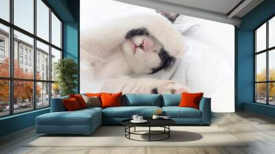 cat sleeping with paw cover its face on white blanket, solf focu Wall mural