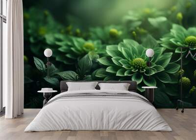 Beautiful green flower background images. Wall mural