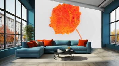 Colored wooden leaf on a white background Wall mural