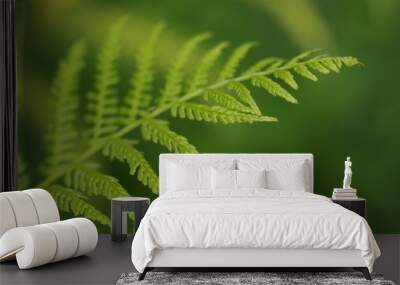 Fern Wall mural