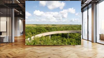 A nice view overlooking the green Everglades on a sunny day at Everglades NP. Wall mural