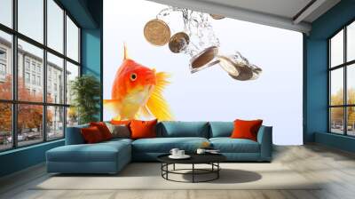 goldfish and money Wall mural