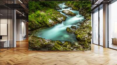 Breathtaking view over colorful Radovna river in Vintgar Gorge, Slovenia.  Long exposure. Wall mural