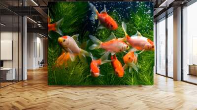  Koi fish background plants Wall mural