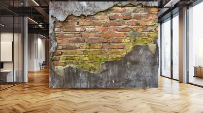 Abstract grunge wood texture background Wall mural