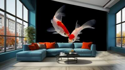 fish Gold koi fish isolated on black background. Wall mural