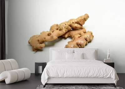 Ginger is a flowering plant whose rhizome, ginger root or ginger, is widely used as a spice and a folk medicine Wall mural