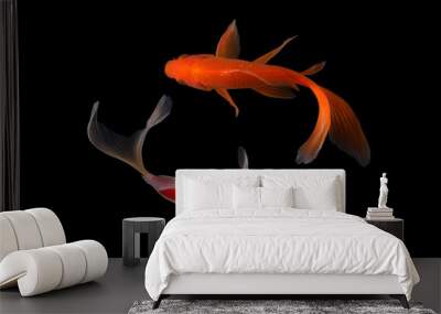 Koi fish Butterfly fresh Black background  Wall mural