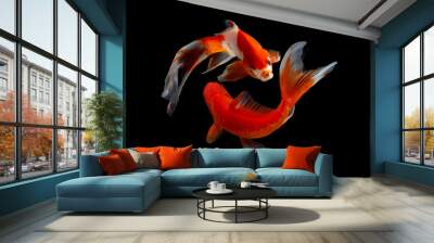 Koi fish isolated on black background with clipping path Wall mural