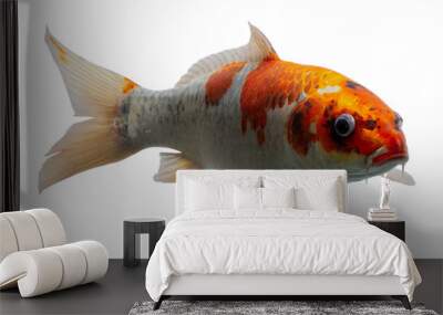 Koi fish Wall mural