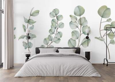 Watercolor eucalyptus leaf botanical natural element  Wall mural