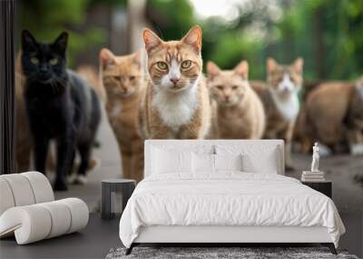 A group of various cats, including different breeds and colors, walking down a path on an overcast day, showcasing their curious nature and social behavior. Wall mural