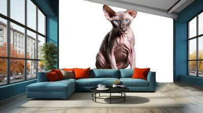 A hairless Sphynx cat posing against a transparent, white background, high-quality png Wall mural