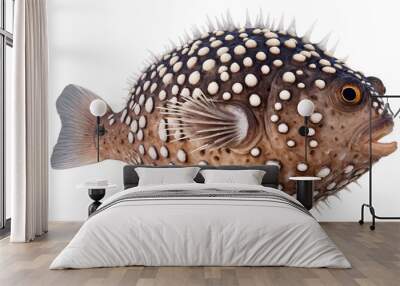 Close-up of a pufferfish (fugu) with its texture prominent, png, on a transparent white background Wall mural