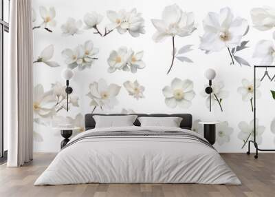 Collection of white flower isolated on a white background as transparent PNG Wall mural