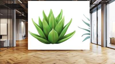 PNG yucca 3d icons and objects collection, in cartoon style minimal on transparent, white background, isolate Wall mural