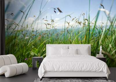 Wind blowing through flower grass at the top of mountains Wall mural