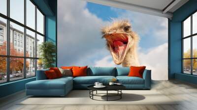 Ostrich head closeup with open mouth outdoors Wall mural