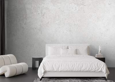 cement wall surface texture. bare rough gray wall. background Wall mural