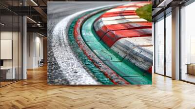 Race Track Curb Detail Wall mural