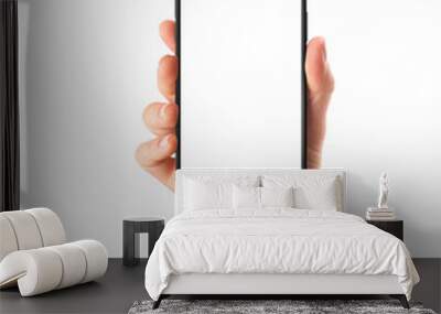 Phone in Women Hand Template Wall mural