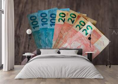 Hand holding brazilian money Wall mural