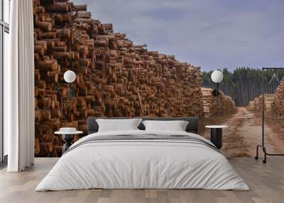 Timber Logging Wood Piles  Wall mural