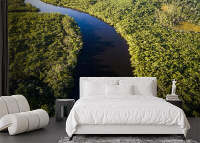 Aerial View of Amazon Rainforest, Brazil Wall mural