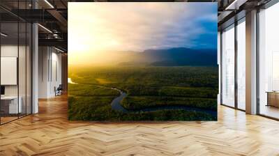 Amazon Rainforest in Brazil Wall mural