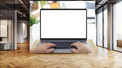 Man working on a laptop with a blank screen at his desk - POV - point of view perspective Wall mural