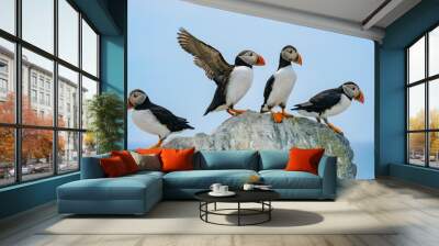 Atlantic Puffins, Machias Seal Island	 Wall mural