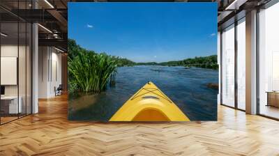 Kayaking on the Catawba River, Landsford Canal State Park, South Carolina	 Wall mural