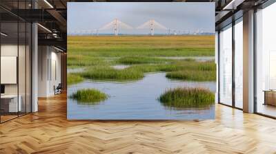 Sydney Lanier Bridge across the Marsh in Brunswick, GA	 Wall mural