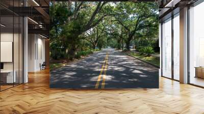 Tree lined street, Slater Street, Valdosta, Georgia, USA Wall mural