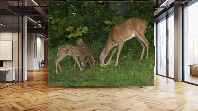 mother and twins Wall mural