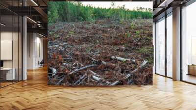 Pile of dead branches and wood after a clear cutting timber operation Wall mural