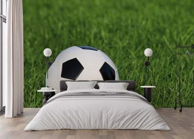 soccer ball on green grass. football Wall mural