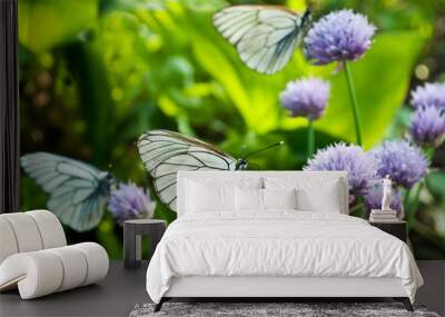 White Butterflies on the wild violet onion plant Wall mural