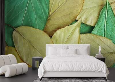 colorful natural dry green,brown leaves isolated texture  as background,,top view   Wall mural