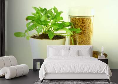 fenugreek plant and seeds Wall mural