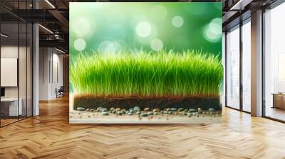 Fresh green grass front view in blur bokeh nature background in sunny summer day Wall mural