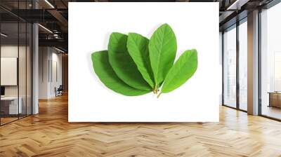 green guava leaves for herbal tea isolated in white background with copy space Wall mural