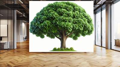 isolated closeup big green tree on white background Wall mural