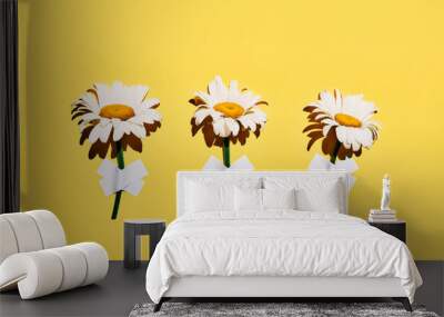 Three daisy flowers taped on wall on yellow background Wall mural