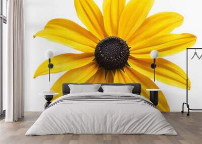 A bright yellow daisy flower isolated on a white background showcasing its vibrant petals and summer beauty Wall mural