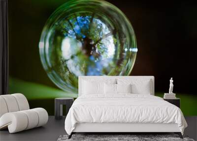 Bulle Wall mural