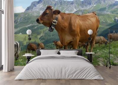 Vache Tarentaise en Alpage Wall mural